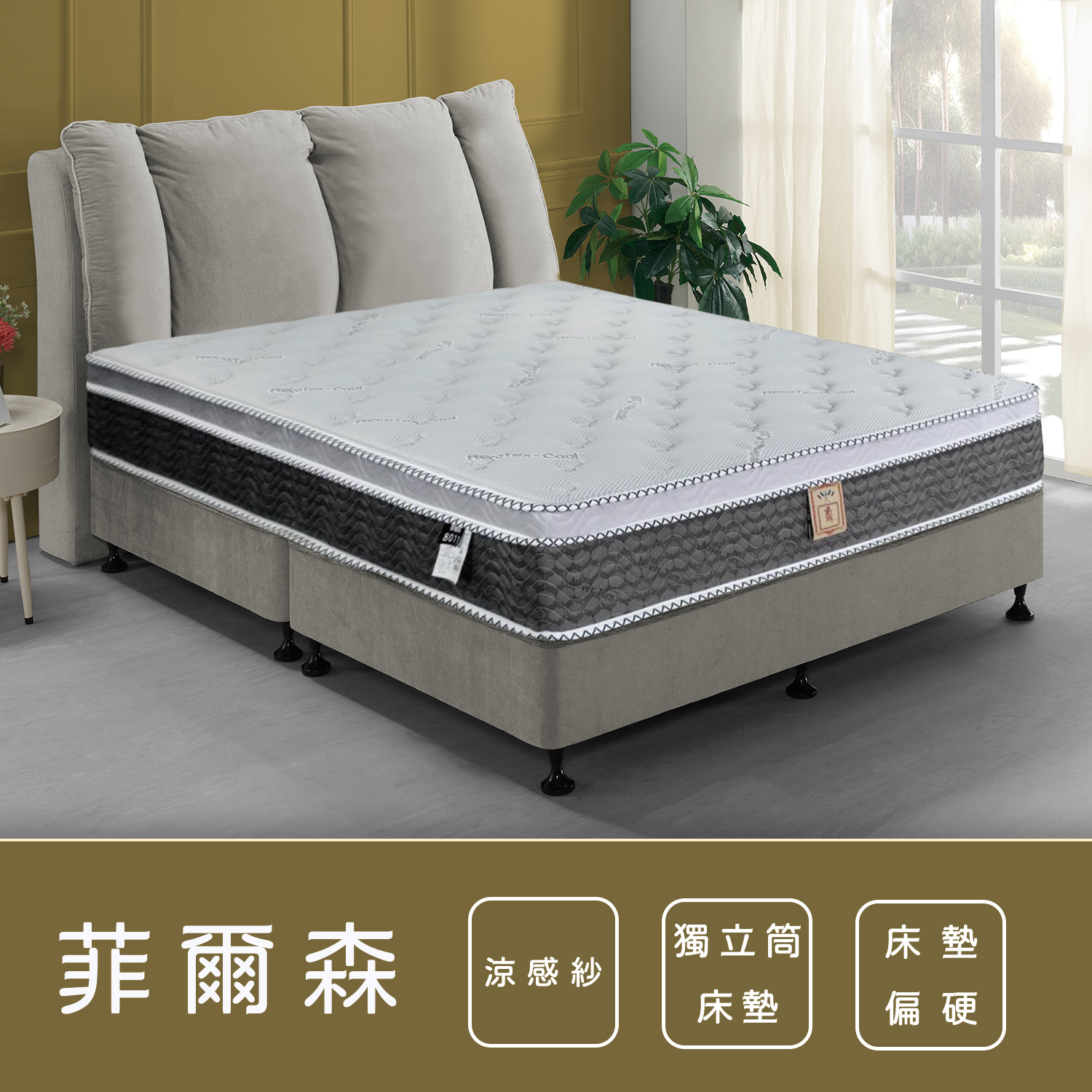 菲爾森<br>軟○○○○○●○硬